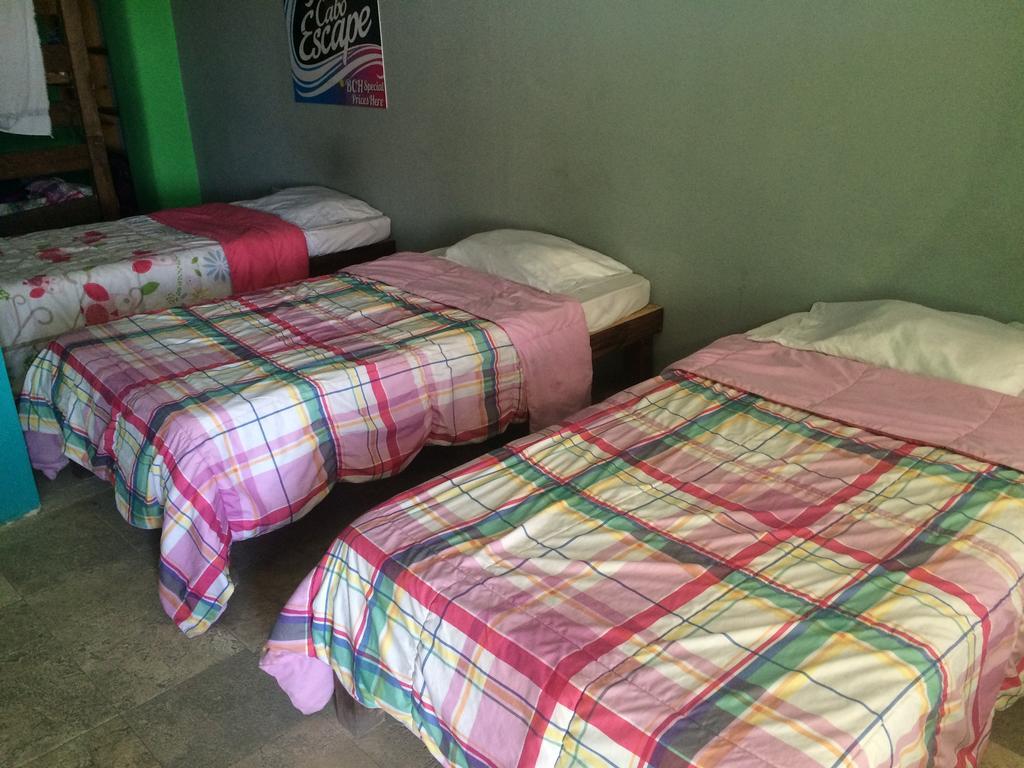 Bajas Cactus Hostel Cabo San Lucas Quarto foto